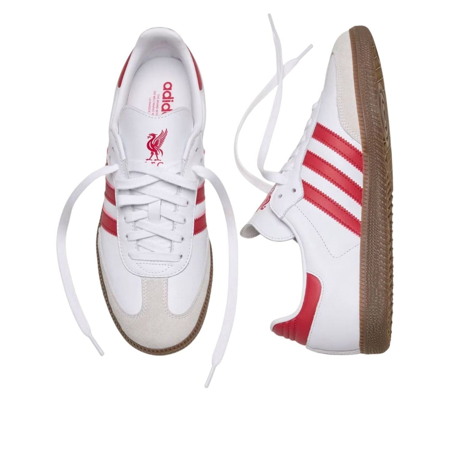 adidas x Liverpool FC Samba 'White Strawberry Red Gum' JQ4041